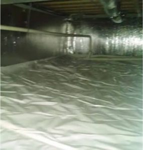 gallery image 02