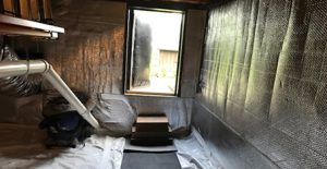 mold inspection image